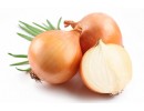 Cebolla