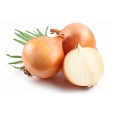 Cebolla