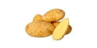 Papas
