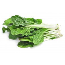 Acelga