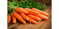 Zanahorias